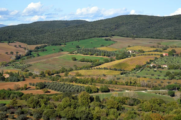 Paesaggio in autunno — Foto Stock