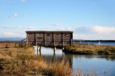 Kuş Gözlem için ahşap kulübe