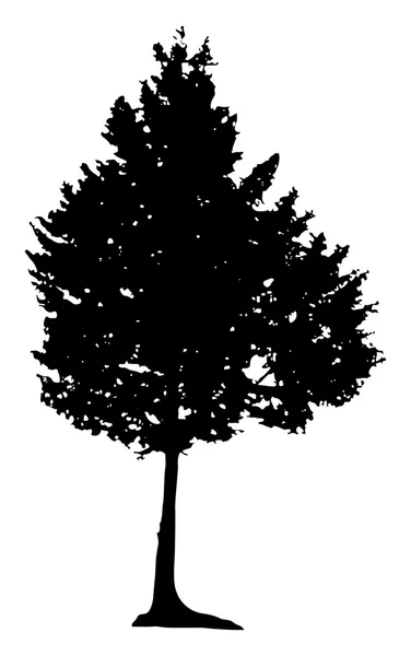Pine Tree Silhouette — Stock Vector