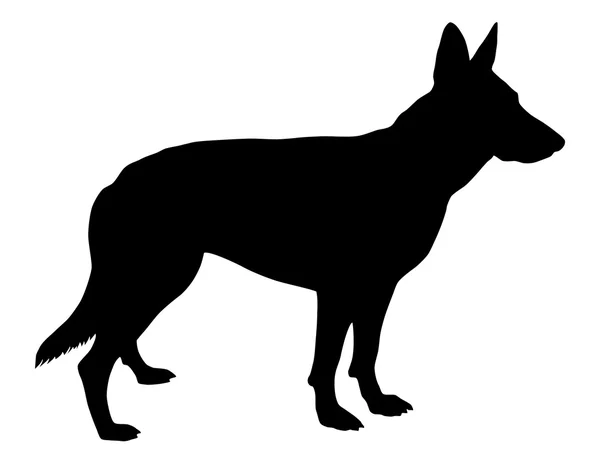 Duitse herder silhouet — Stockvector