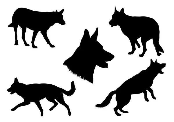 German Shepherd Silhouette Collection — Stock Vector