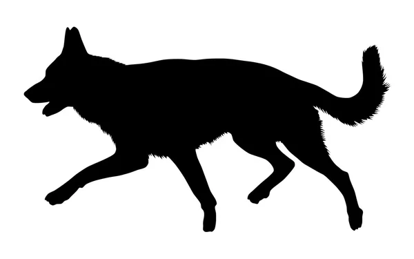 Schäferhund-Silhouette — Stockvektor