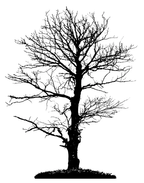 Силуэт дерева - векторная иллюстрация — стоковый вектор