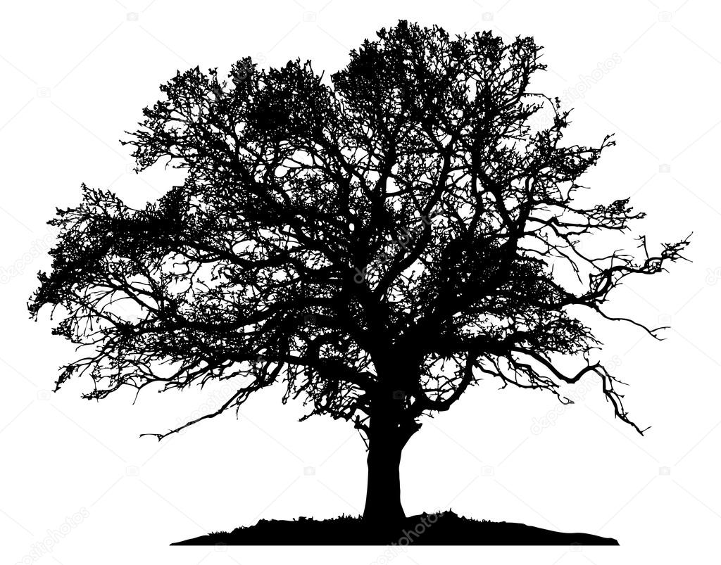 Tree Silhouette Vector Illustration Stock Vector Image By C Predragilievsi