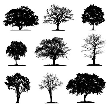 Ağaçlar farklı katmanları koleksiyonunda siluet 