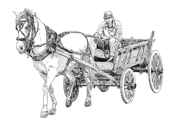 Häst vagn — Stock vektor