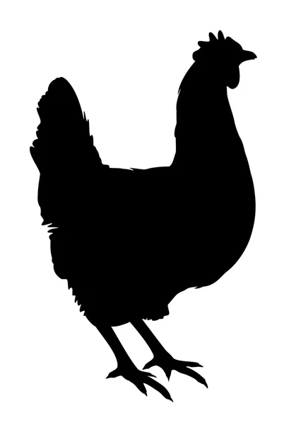 Silhouette de Poule — Image vectorielle