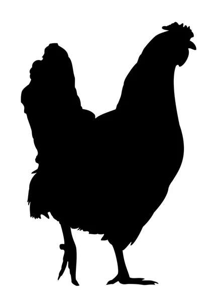 Silhouette de Poule — Image vectorielle