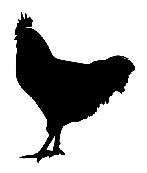 Rooster Silhouette — Stock Vector