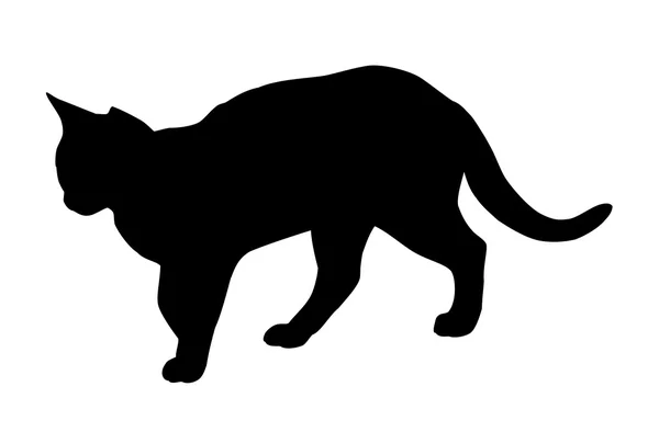 Silueta de gato — Vector de stock