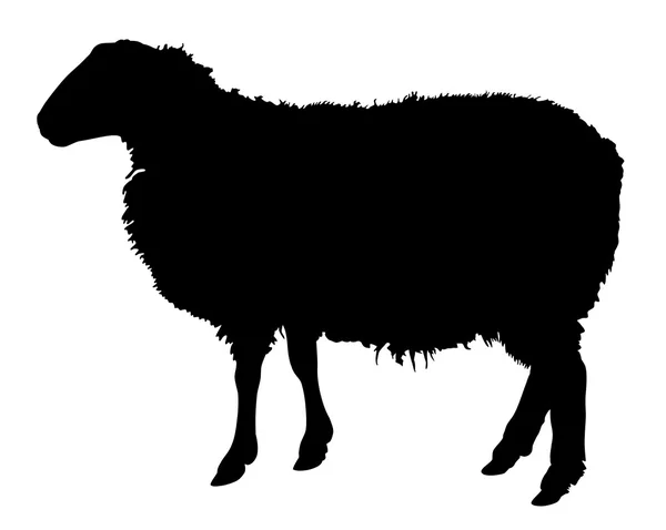 Sheep Silhouette, vector — Stock Vector