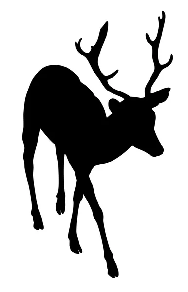 麋鹿鹿剪影 — 图库矢量图片