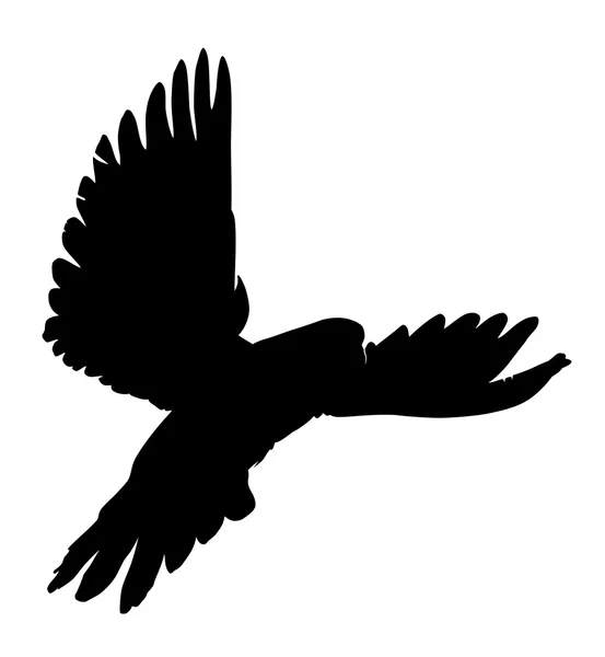 Silhouette uccello colomba — Vettoriale Stock