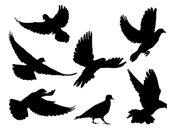 Dove silhouetten set — Stockvector