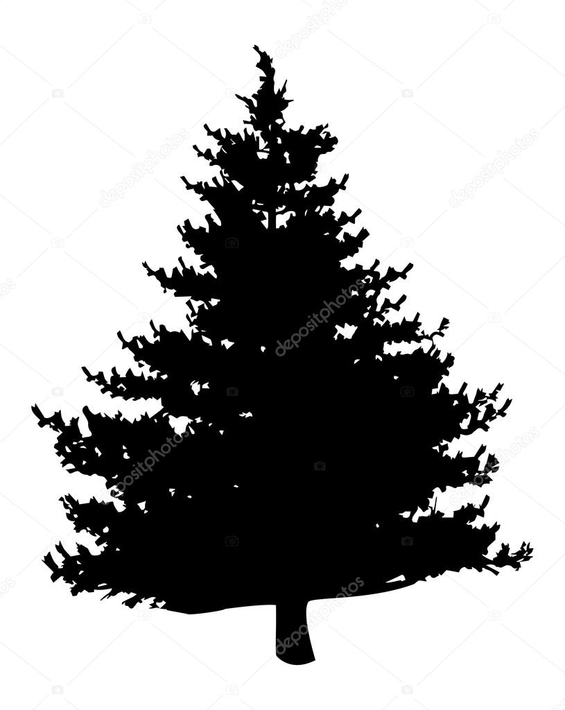 Download Pine tree silhouette — Stock Vector © predragilievsi #92374854