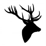 Testa di cervo design Testa di cervo design