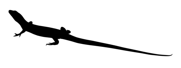 Ilustración de Lizard Silhouette — Vector de stock