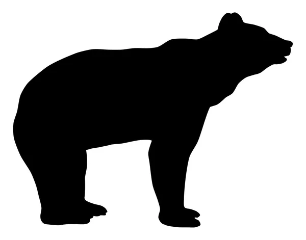 Ilustração silhueta urso —  Vetores de Stock