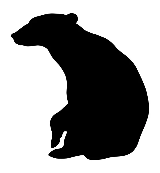 Bear Silhouette  Illustration — Stock Vector