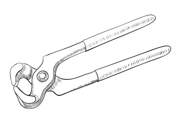 Kerpeten vektör çizim