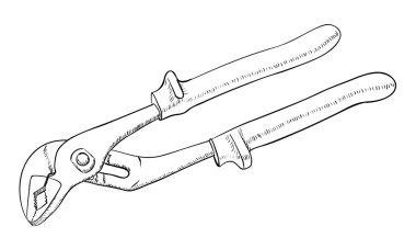 Papağan pense illüstrasyon