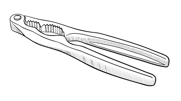 Utensili da cucina Schiaccianoci — Vettoriale Stock