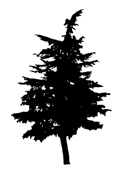 Pine Tree Silhouette — Stock Vector