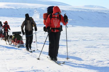 Svalbard Norveç'te Kayak
