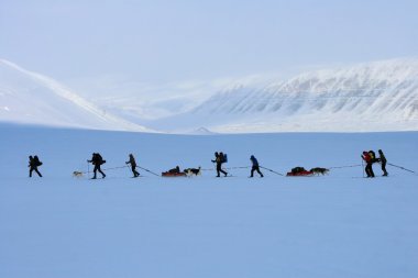 Kayak sefer Svalbard, Norveç