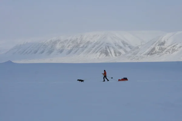 Expedition Svalbard Norge — Stockfoto