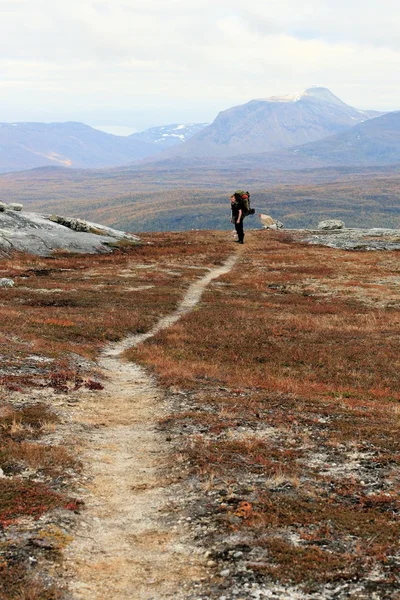 Lofoten Norveç'te hiking — Stok fotoğraf