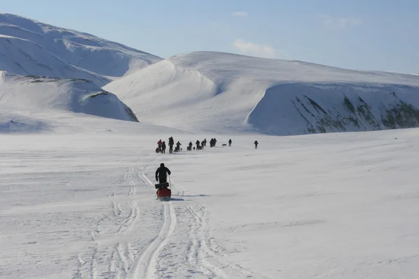 Skidåkning i Svalbard Norge — Stockfoto