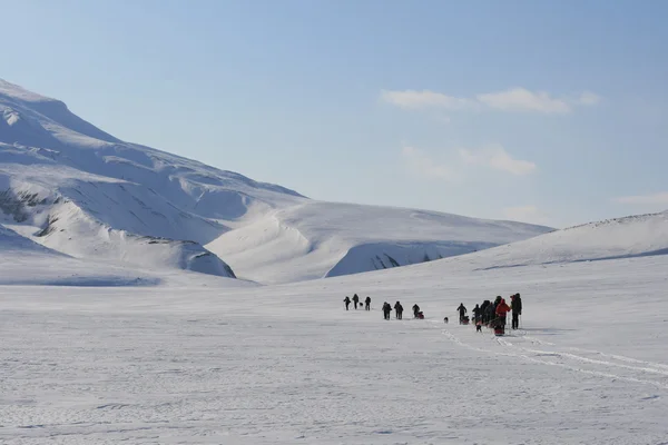 Lyžování v Svalbard Norsko — Stock fotografie