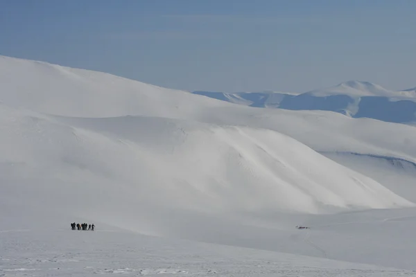Skidåkning i Svalbard Norge — Stockfoto