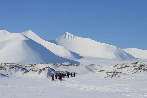 Skidåkning i Svalbard Norge — Stockfoto