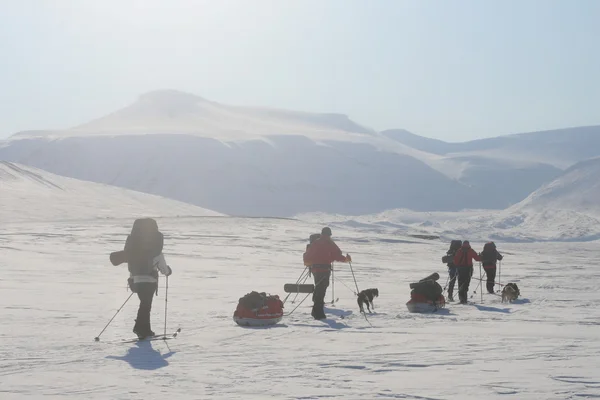 Esqui em Svalbard Noruega — Fotografia de Stock