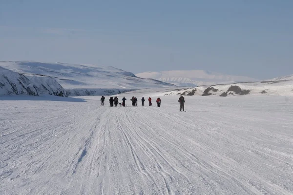 Lyžování v Svalbard Norsko — Stock fotografie