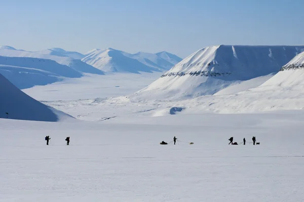 Jazda na nartach w Svalbard, Norwegia — Zdjęcie stockowe