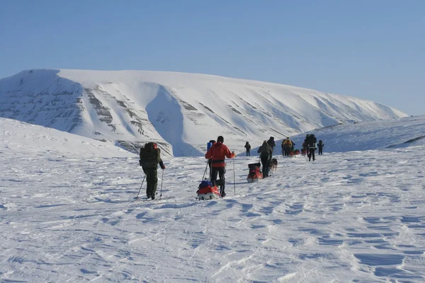 Skidåkning i Svalbard Norge — Stockfoto