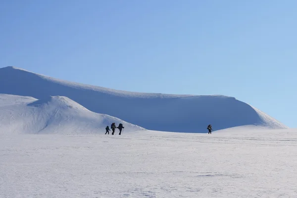 Skidåkning i Svalbard Norge — Stockfoto