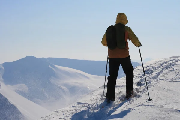 Skidåkning i Svalbard Norge — Stockfoto