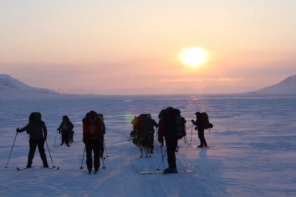 Skiing in Svalbard Norway — Stock Photo, Image