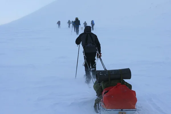 Skiing expedition Svalbard i Norge — Stockfoto