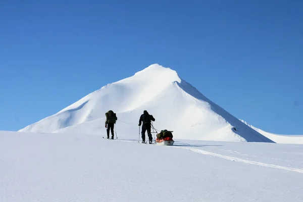 Skiing expedition Svalbard i Norge — Stockfoto