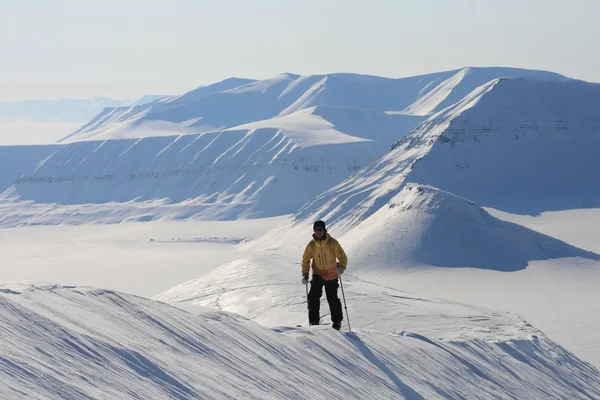 스키 탐험 스발바르, 노르웨이 — 스톡 사진