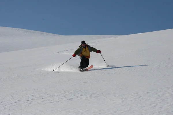 스발바르 노르웨이 스키 로열티 프리 스톡 이미지