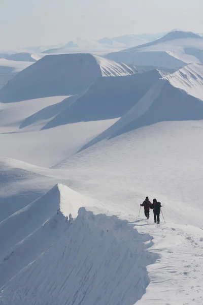 Na nartach wyprawy Svalbard, Norwegia Obrazek Stockowy