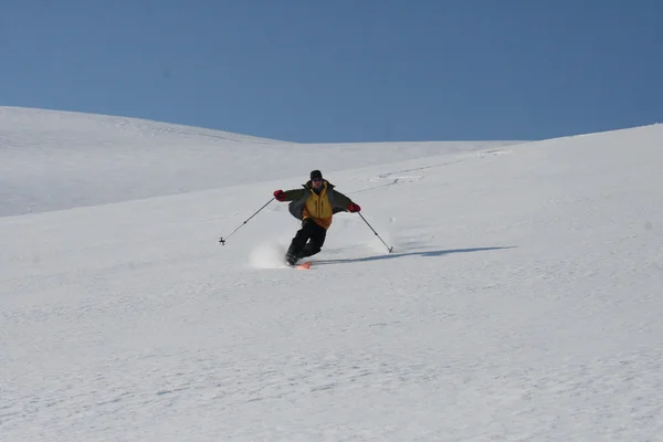스키 탐험 스발바르, 노르웨이 스톡 이미지