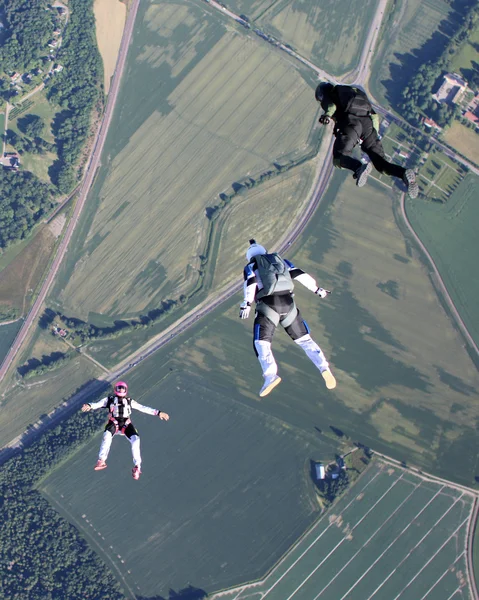 Skydiving in Norway — Stock Photo, Image