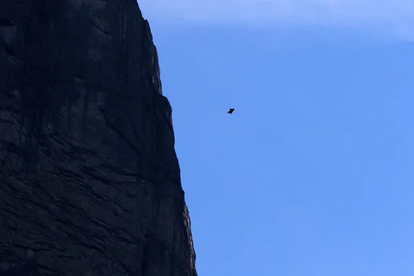 Basejumper w Norwegii — Zdjęcie stockowe